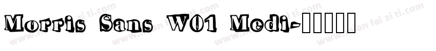 Morris Sans W01 Medi字体转换